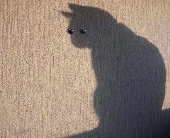 كي تكون مصوراً مبدعاً... يجب أن تتعلم من هذه الصور