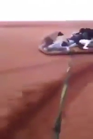 شاهد كيف تمكنوا من التزلج بدون جليد