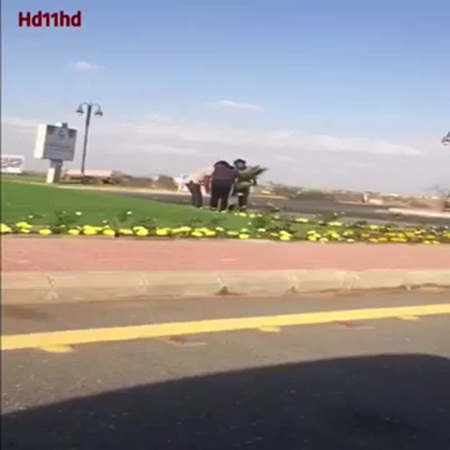 فضيحة إزالة الورود فور انتهاء زيارة الأمير .. فيديو