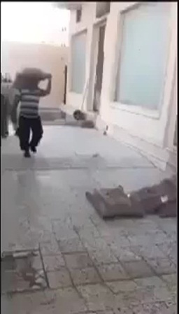 بالفيديو .. عمال يسيرون فوق أكياس الأرز