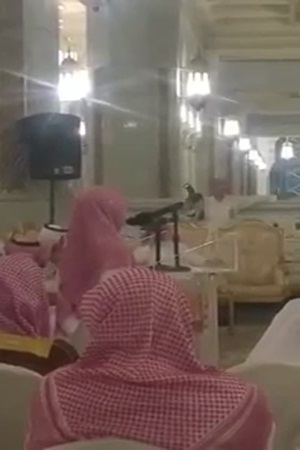 بالفيديو .. الشيخ السديس يقبل رأس طالب