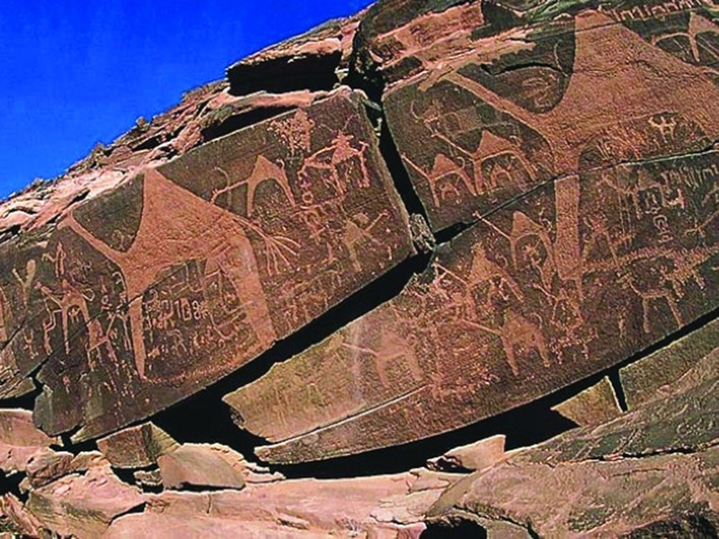 مدائن صالح وواحة الإحساء من عجائب المملكة العربية السعودية