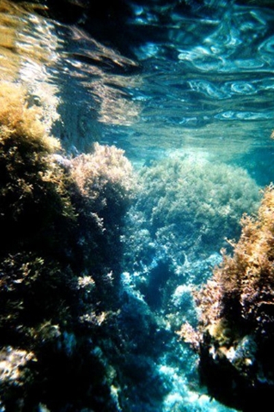 صور ستجعلك ترغب في زيارة اليونان اليوم!