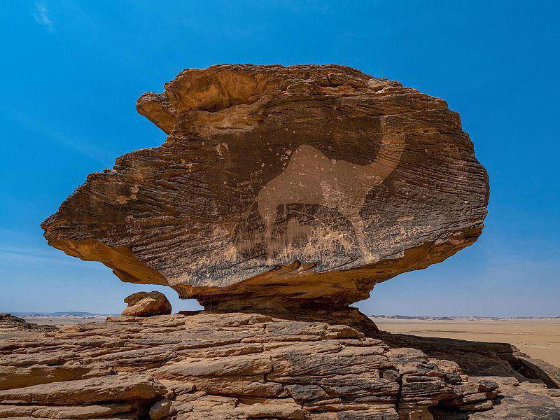 مدائن صالح وواحة الإحساء من عجائب المملكة العربية السعودية
