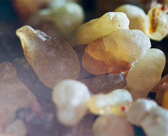 بيربيري تطلق عطر Brit Rhythm الجديد للرجال