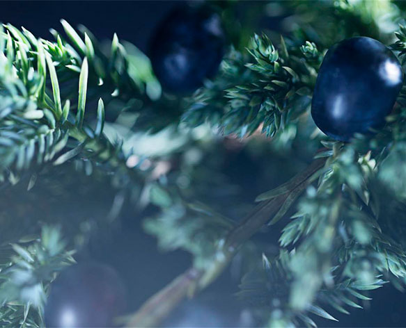 بيربيري تطلق عطر Brit Rhythm الجديد للرجال