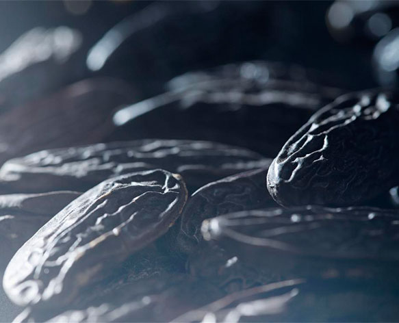 بيربيري تطلق عطر Brit Rhythm الجديد للرجال