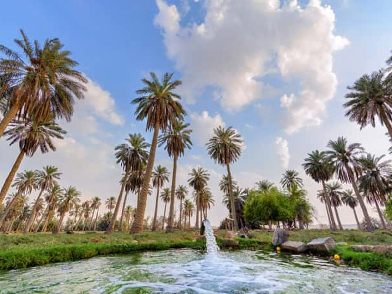 مدائن صالح وواحة الإحساء من عجائب المملكة العربية السعودية