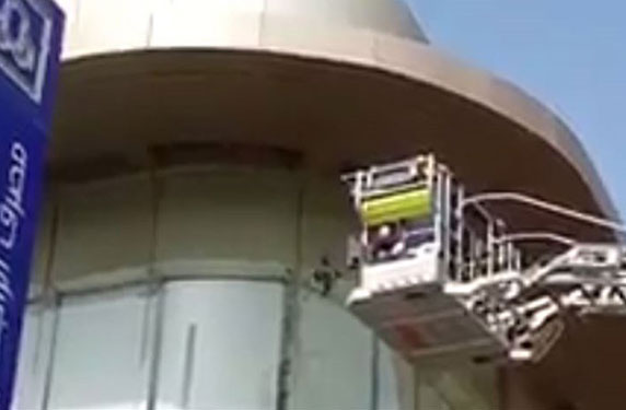 بالفيديو.. إستنفار في السعودية والسبب .... حَمامة!!