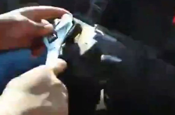 هل يمكنك القيادة من دون مقود؟ .. إليك هذا الفيديو الغريب