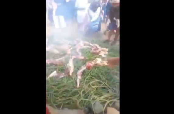 إليك بالفيديو أغرب حفلة شواء قد تشاهدها في السعودية
