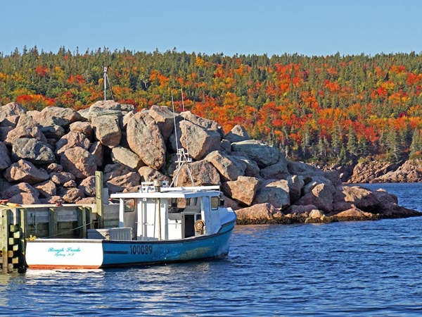 جزيرة كندية توفر فرص عمل وأراضي للمهاجرين