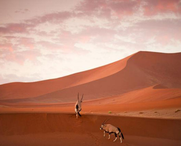 16 صورة حازت أفضل تصنيف من "ناشيونال جيوغرافيك" لعام 2013