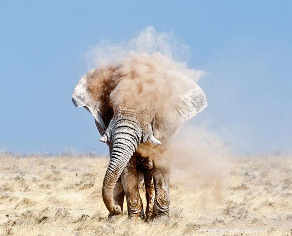 16 صورة حازت أفضل تصنيف من "ناشيونال جيوغرافيك" لعام 2013