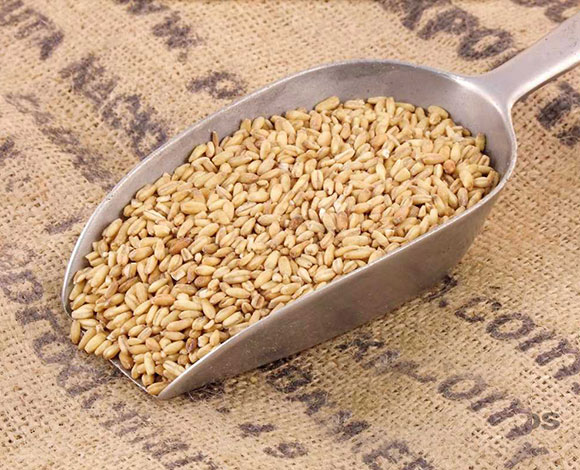 طرق تساعدك على خفض مستويات الكوليسترول