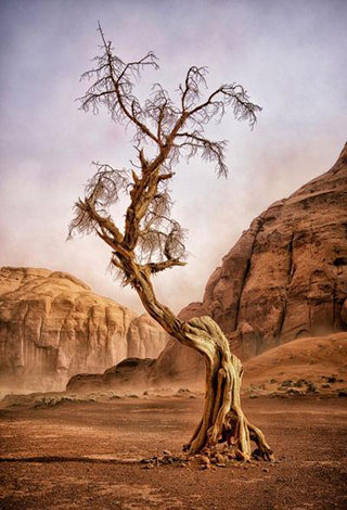 16 صورة حازت أفضل تصنيف من "ناشيونال جيوغرافيك" لعام 2013
