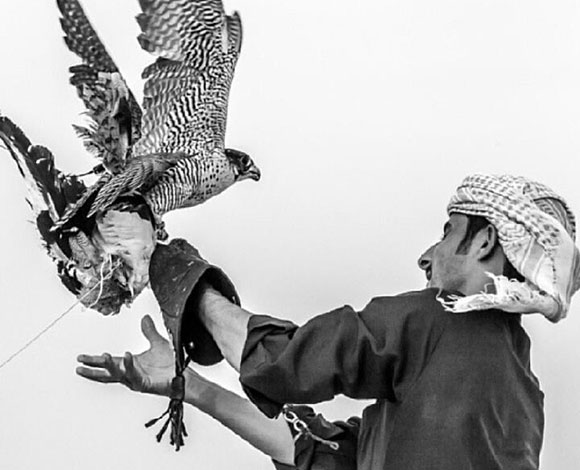 "دائرة السياحة والتسويق التجاري" في دبي تُطلق المعرض الإلكتروني #MyDubai 