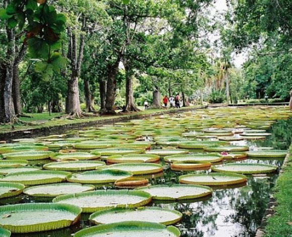 جزر القمر: عندما تجتمع عجائب الطبيعة مع ثقافة البشر!