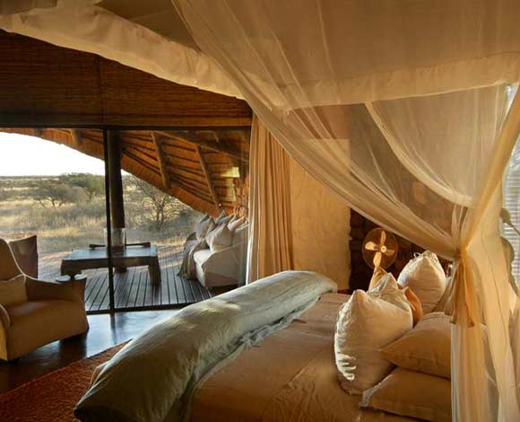 Tswalu Kalahari: مقصد مميّز لمحبي الطبيعة والحياة البرّية