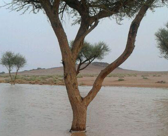 العاصمة السعودية تغرق في الفيضانات  
