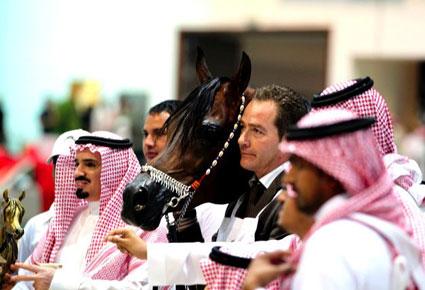 مهرجان الشارقة الدولي الـ13 للجواد العربي