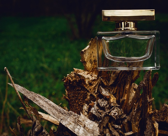 لمحبي العطور الخشبية... اليكم أفضل 10 أنواع عطور عليكم أن تقتنوها!