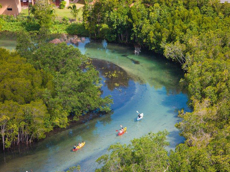 في يوم الأرض مجموعة كونستانس للفنادق تعزز موقعها كعلامة رائدة على قائمة الفنادق الفخمة البيئية