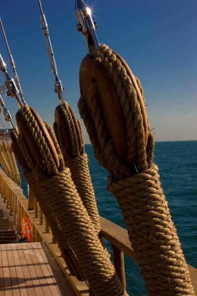 يخت دبي .. الأناقة على سطح الماء