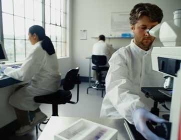 اليكم أهم الإنجازات العلمية لعام 2011