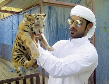 حسن جبر السويدي، اماراتي يلهو مع النمور وينام مع الفهود في سرير واحد