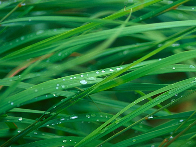 خلفيات للتصميم ايباد