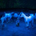 عرض كافاليا الافتتاحي في دبي يأسر الجمهور  