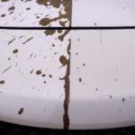 بالفيديو- "نيسان" تطلق سيارة تنظف نفسها بنفسها