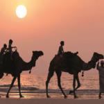فندق الريتز-كارلتون دبي يحتفي بالتقاليد الشرق أوسطية 