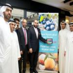 الإمارات ثاني أكبر أسواق التجارة عالمياً في التسوق عبر الهواتف الذكية