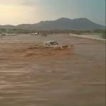 بالفيديو- سعودي يخاطر بنفسه