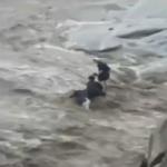 بالفيديو- غرق 3 سعوديين في وادي عتود