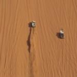 نهاية أليمة لتطعيس خطير .. فيديو