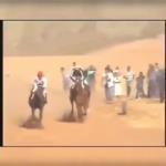 بالفيديو .. إنقاذ طفل من الدهس بحوافر الجياد