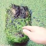 فيديو .. كاد أن يفقد يده بسبب هذا الغاضب