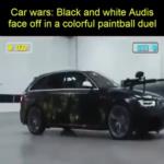 معركة طلقات ألوان بين البيضاء والسوداء .. فأيهما تنتصر