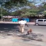 احترم إشارات المرور .. فهل نستطيع التعلم منه