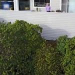 سيدة تطلق النار على درونًا لأنه كان يراقبها .. فيديو