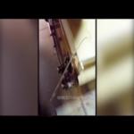 فيديو مقزز سيجعلك لا تتناول هي المنتجات مجددًا