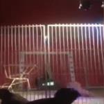 فيديو مزعج .. أسد يهاحم مدربه في عرض حي