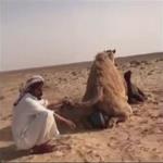 بالفيديو .. ماذا أهدى الوليد ابن طلال للطفل السحلي