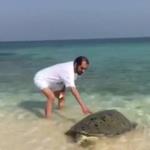 شاهد الشيخ محمد بن راشد وهو يساعد هذه السلحفاة