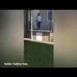 كلب يحاول فض مشاجرة بين عدة نساء .. شاهده بالفيديو