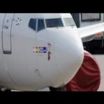 نجاة الركاب على متن هذه الطائرة بعد حادث في الجو