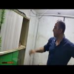 شاهد كيف تمكن من إمساك هذا الثعبان السام باحترافية